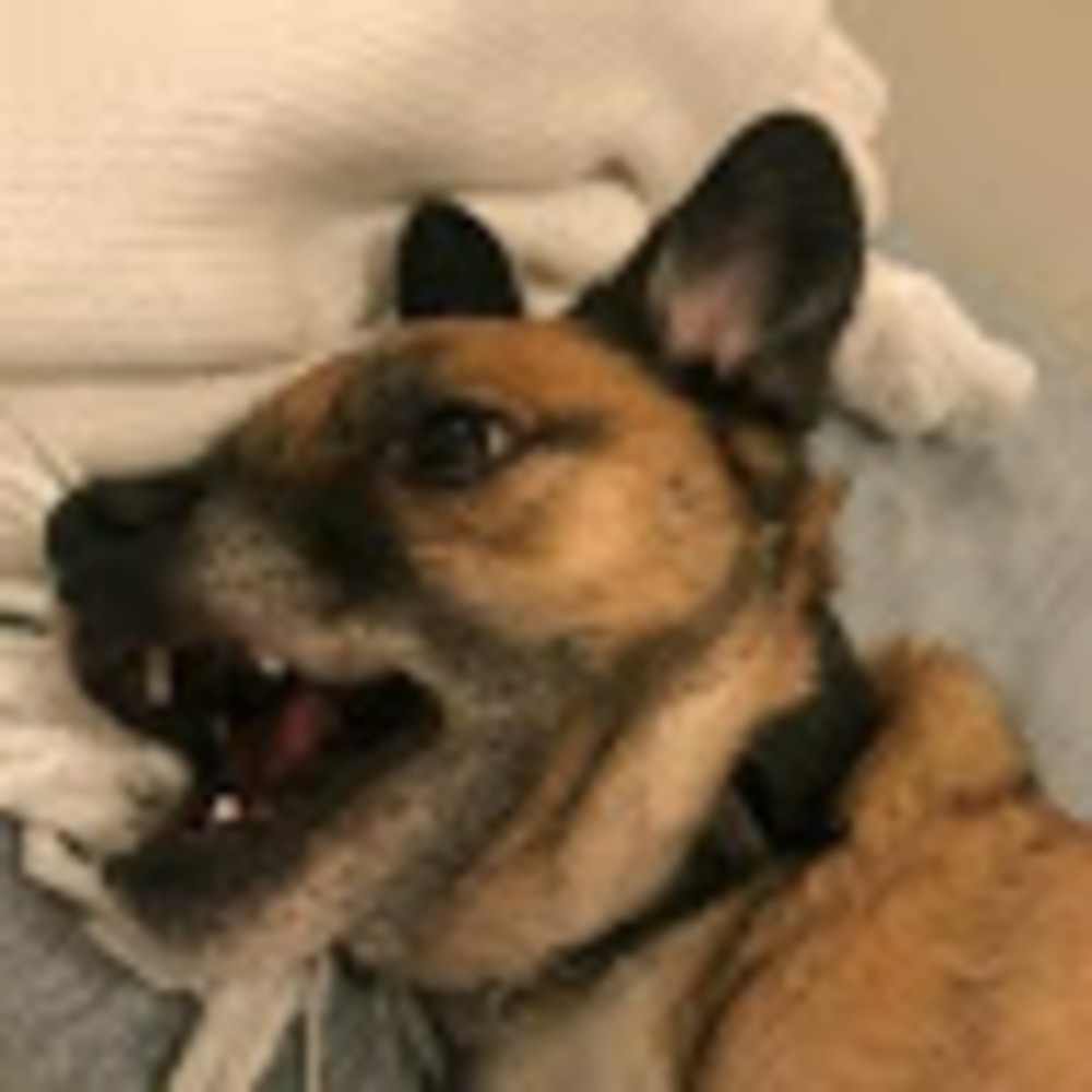 Meet your Posher, Cassidy